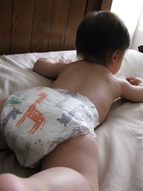 Honest Diaper着用で赤ちゃんがさらに可愛く見えます