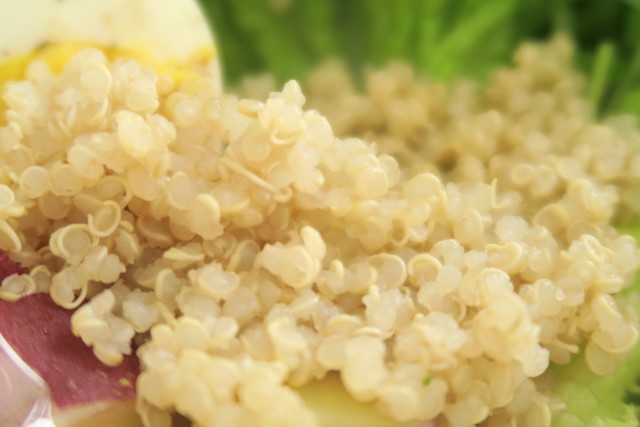 茹で上がりのキヌア。プチプチの食感がアクセントです、クセのない味は、サラダに混ぜたり、朝の食事にも合う。余ったら冷凍保存に。